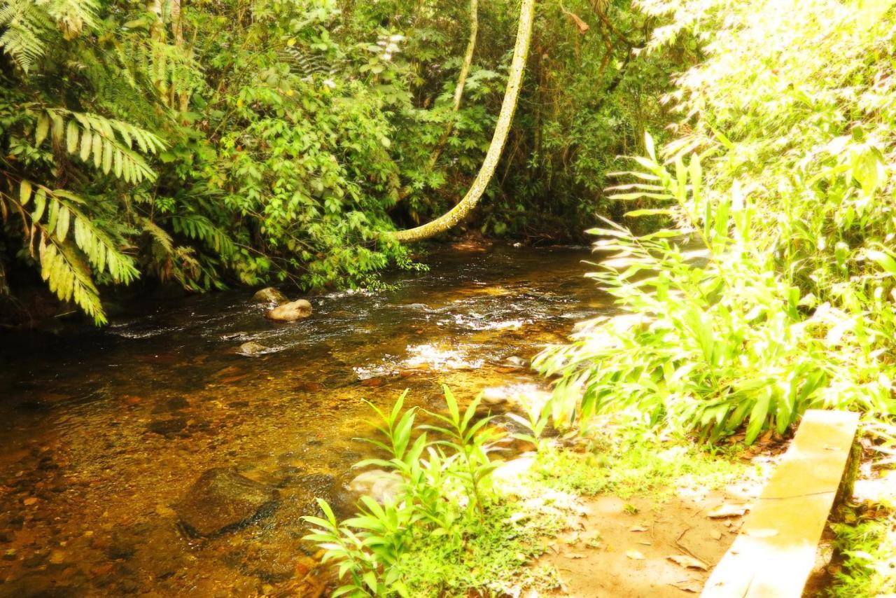 Ecolodge Puente Explanacion Саленто Екстериор снимка